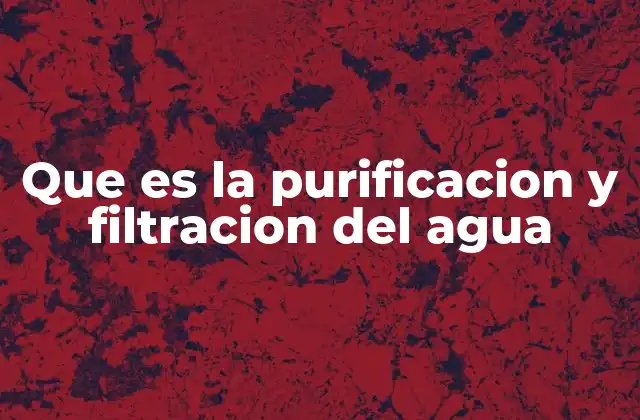 Que es la Purificacion y Filtracion Del Agua