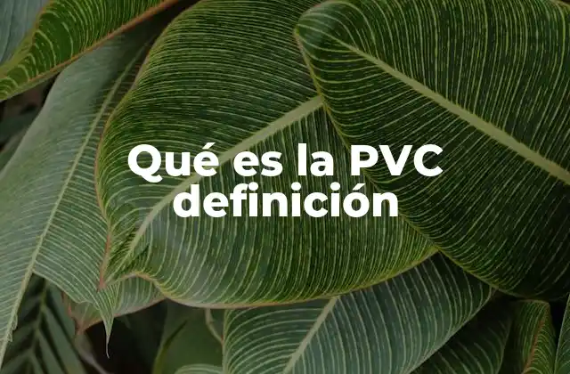 Qué es la Pvc Definición