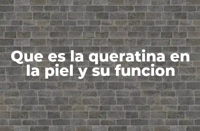 Que es la Queratina en la Piel y Su Funcion