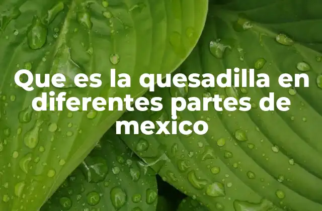 La diversidad regional de las preparaciones de tortilla rellena
