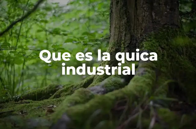 Que es la Quica Industrial
