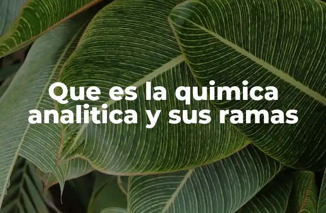 Que es la Quimica Analitica y Sus Ramas