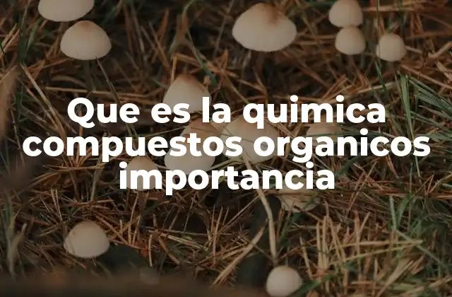 Que es la Quimica Compuestos Organicos Importancia 2 La base estructural de los compuestos orgánicos