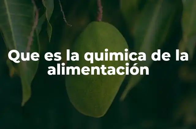 Que es la Quimica de la Alimentación