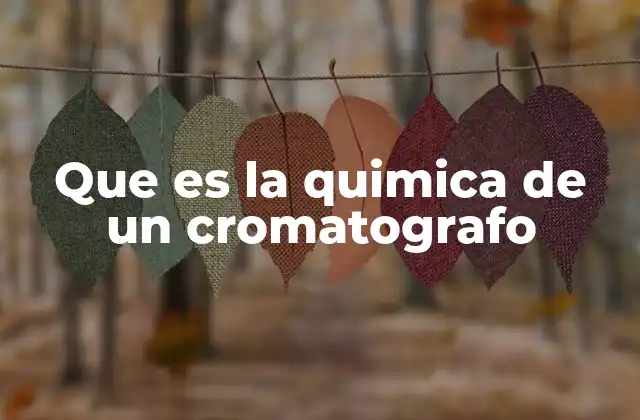 Que es la Quimica de un Cromatografo