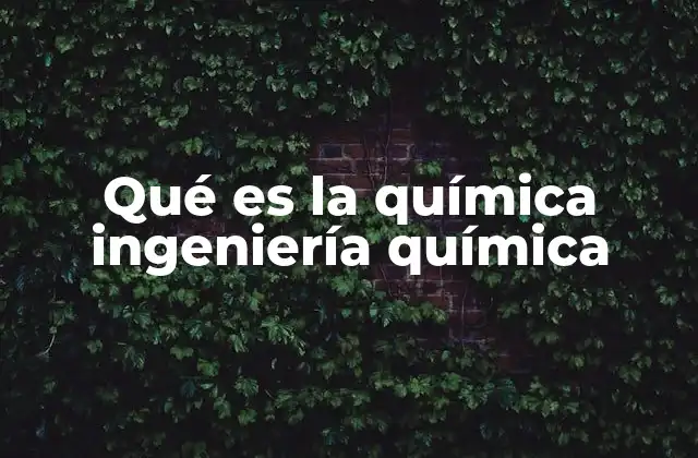 Qué es la Química Ingeniería Química