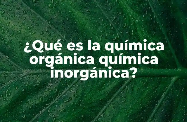 ¿qué es la Química Orgánica Química Inorgánica?
