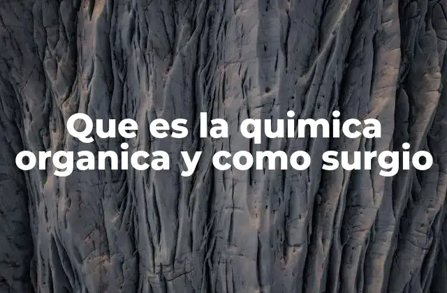 Que es la Quimica Organica y como Surgio