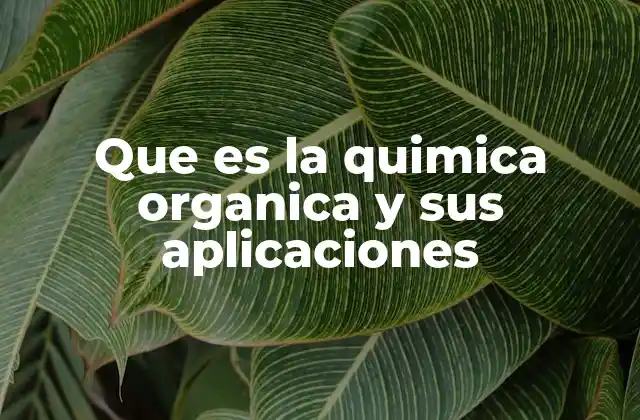 Que es la Quimica Organica y Sus Aplicaciones