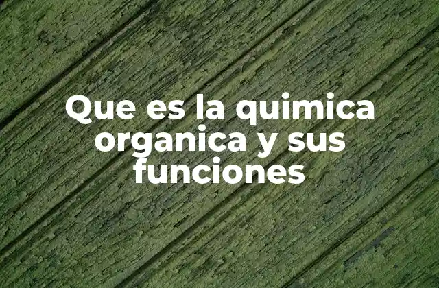 Que es la Quimica Organica y Sus Funciones