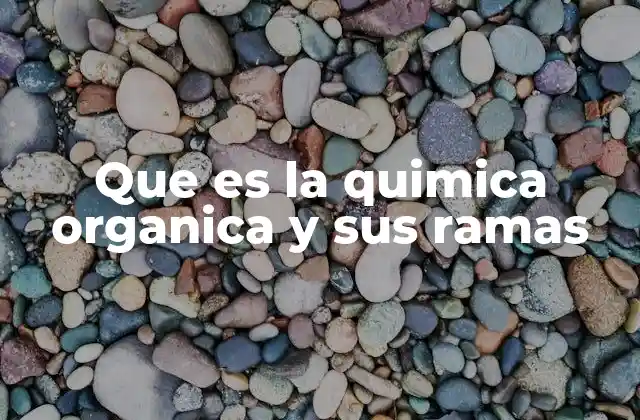 Que es la Quimica Organica y Sus Ramas