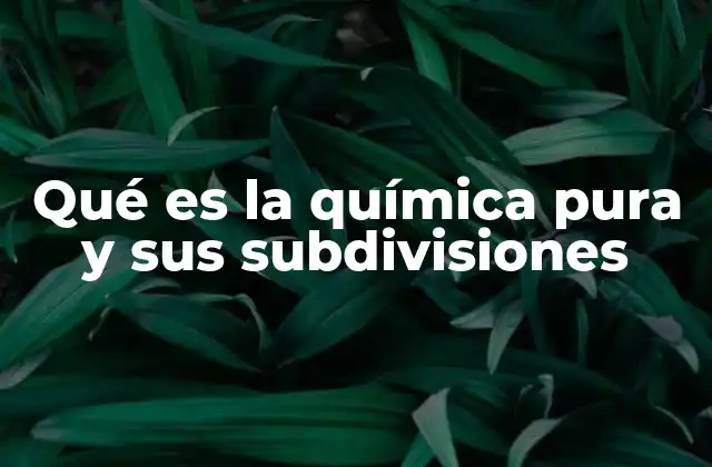 Qué es la Química Pura y Sus Subdivisiones