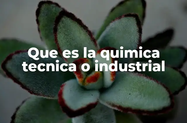 Que es la Quimica Tecnica o Industrial