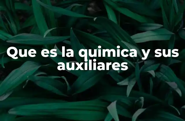 Que es la Quimica y Sus Auxiliares