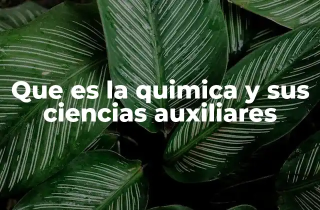 Que es la Quimica y Sus Ciencias Auxiliares