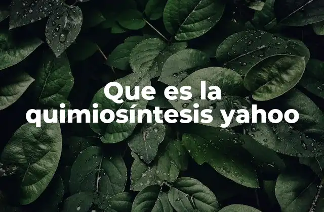 Que es la Quimiosíntesis Yahoo 2 ¿Cómo funciona la quimiosíntesis sin necesidad de luz solar?
