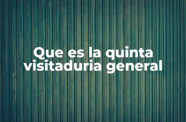 Que es la Quinta Visitaduria General