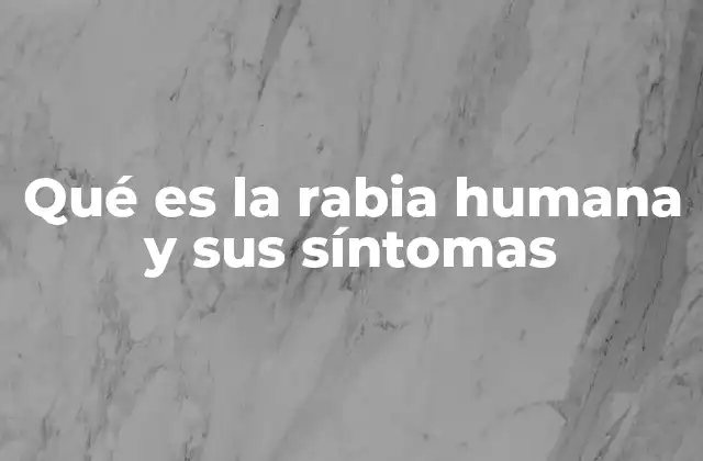 Qué es la Rabia Humana y Sus Síntomas