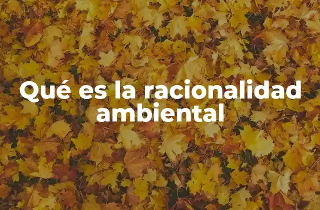 Qué es la Racionalidad Ambiental