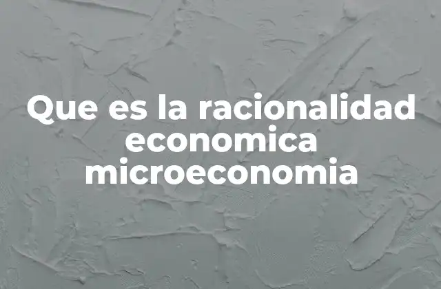 Que es la Racionalidad Economica Microeconomia