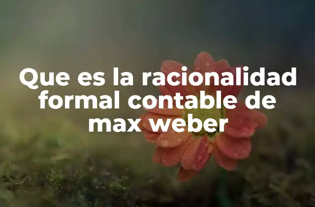 Que es la Racionalidad Formal Contable de Max Weber