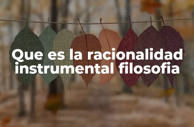 Que es la Racionalidad Instrumental Filosofia