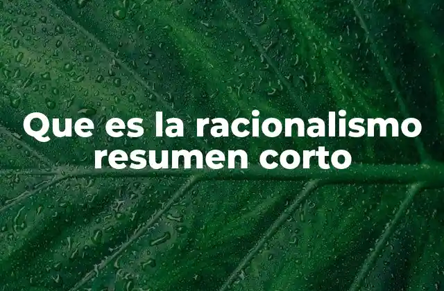 Que es la Racionalismo Resumen Corto