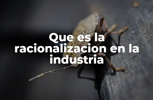 Que es la Racionalizacion en la Industria