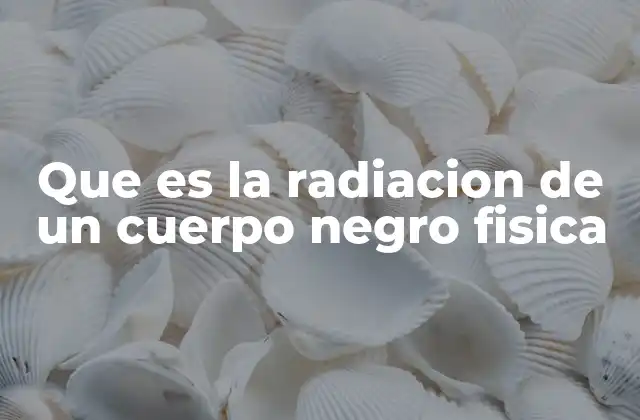 Que es la Radiacion de un Cuerpo Negro Fisica