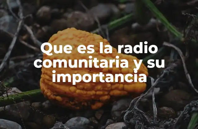 Que es la Radio Comunitaria y Su Importancia