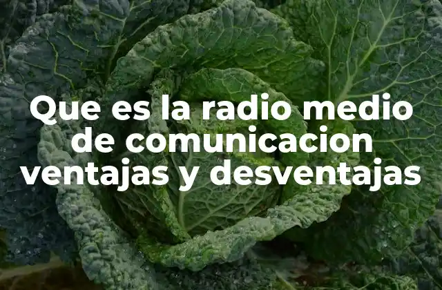 Características esenciales del medio radiofónico