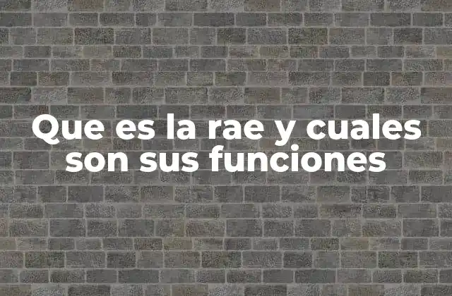 Que es la Rae y Cuales Son Sus Funciones