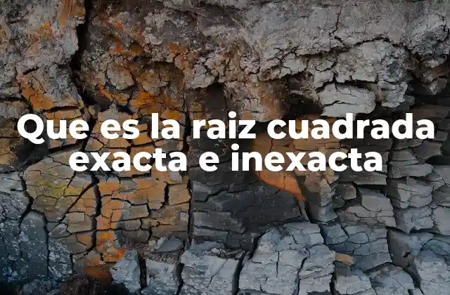 Que es la Raiz Cuadrada Exacta e Inexacta