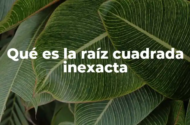 La importancia de comprender las raíces cuadradas inexactas