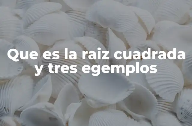 Que es la Raiz Cuadrada y Tres Egemplos