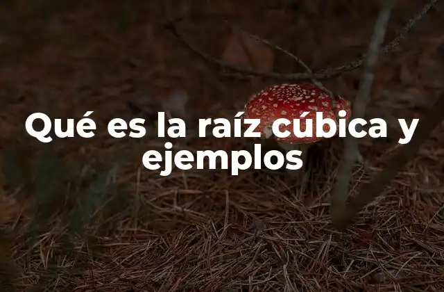 Qué es la Raíz Cúbica y Ejemplos