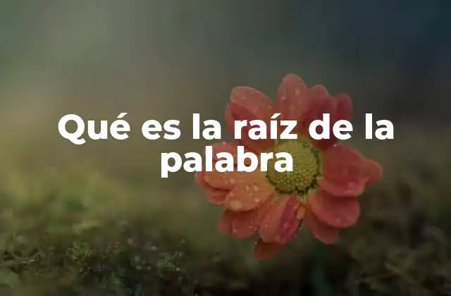 Qué es la Raíz de la Palabra