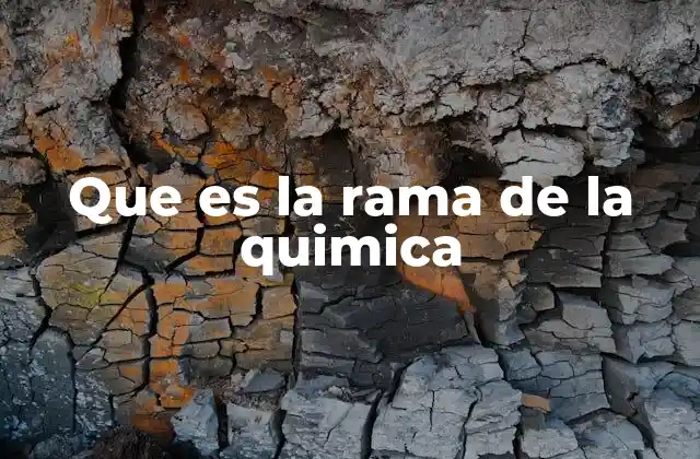 Que es la Rama de la Quimica