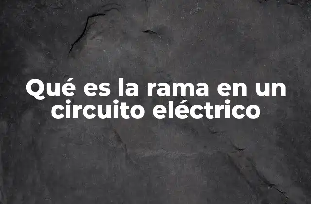 Qué es la Rama en un Circuito Eléctrico