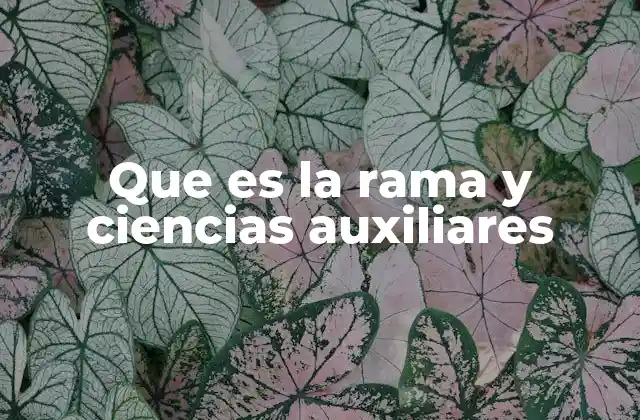 Que es la Rama y Ciencias Auxiliares