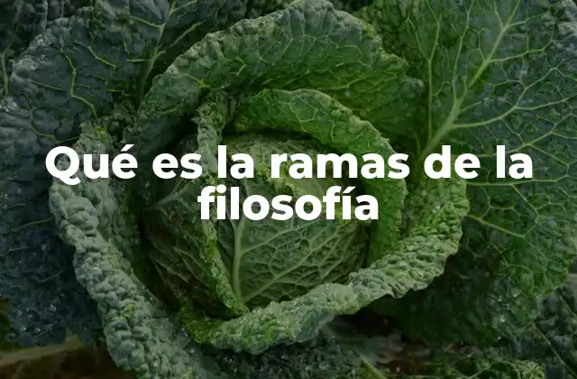 Qué es la Ramas de la Filosofía