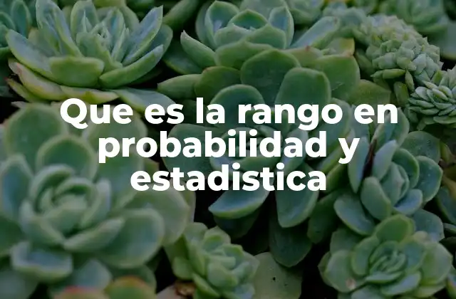 Importancia del rango en el análisis de datos