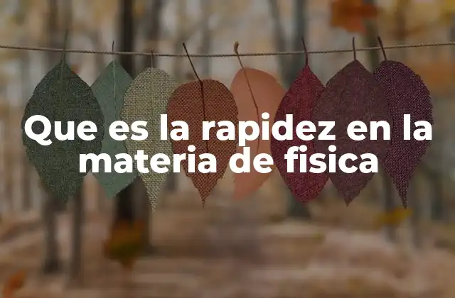 Que es la Rapidez en la Materia de Fisica