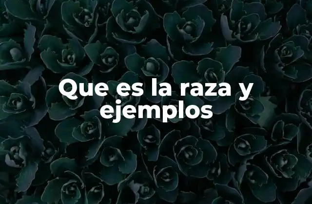 Que es la Raza y Ejemplos