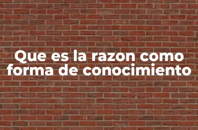 Que es la Razon como Forma de Conocimiento