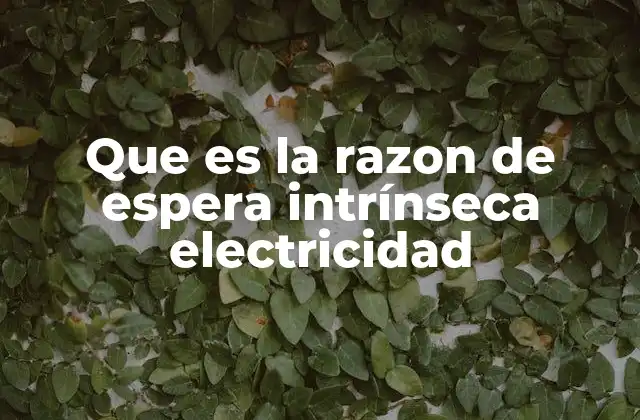 Que es la Razon de Espera Intrínseca Electricidad