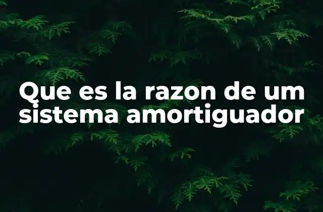 Que es la Razon de Um Sistema Amortiguador