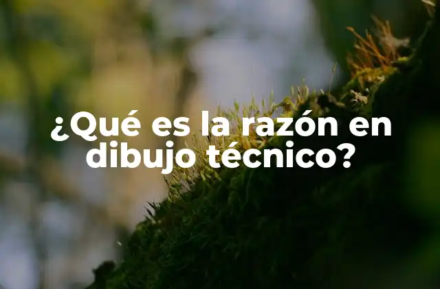 ¿qué es la Razón en Dibujo Técnico? 2 La importancia de las relaciones cuantitativas en el diseño técnico