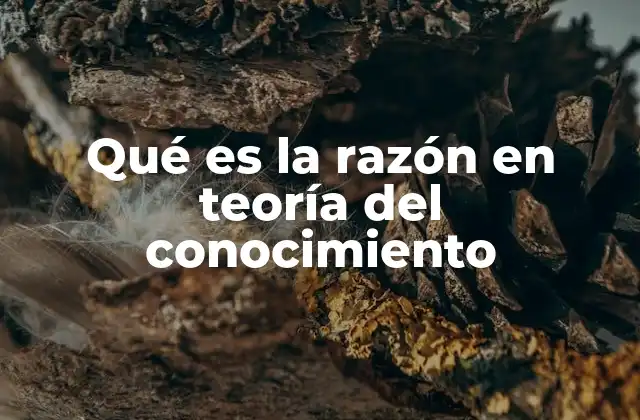 Qué es la Razón en Teoría Del Conocimiento