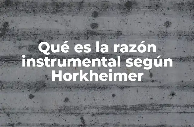 Qué es la Razón Instrumental según Horkheimer 2 La razón instrumental y su relación con la crítica social